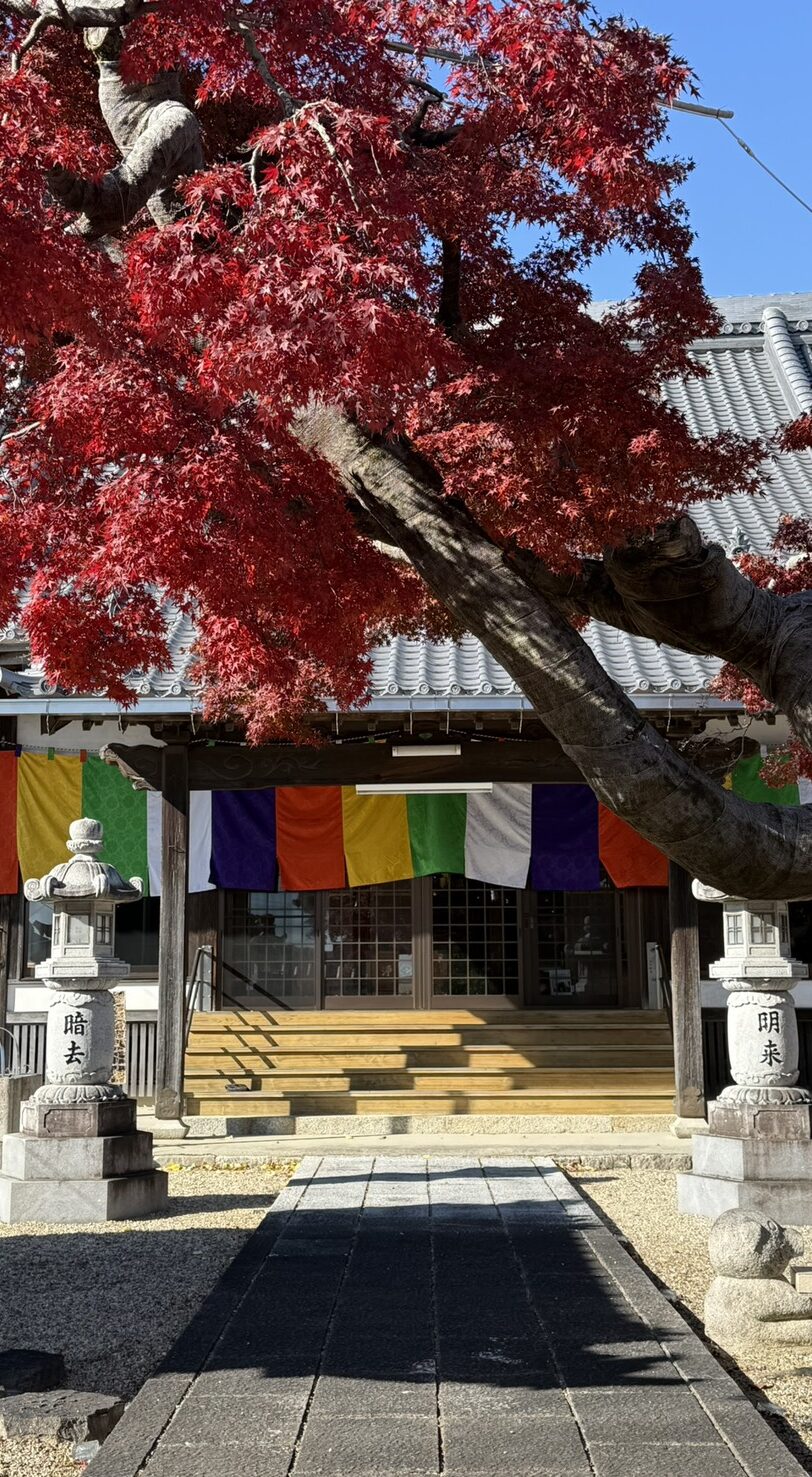 安正寺のお墓